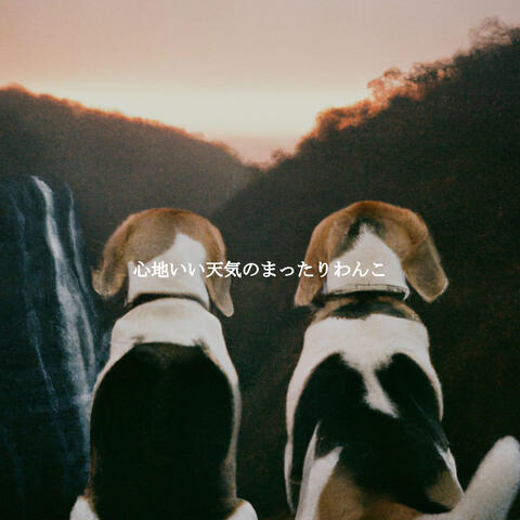 心地いい天気のまったりわんこ