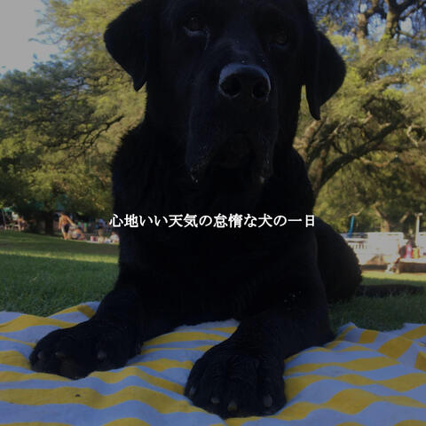 心地いい天気の怠惰な犬の一日