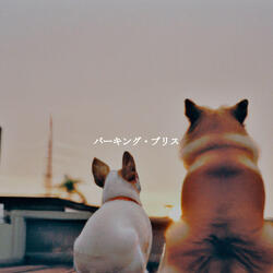 Background for Calmed Vibe