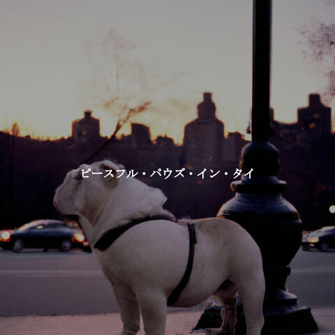 ピースフル・パウズ・イン・タイ