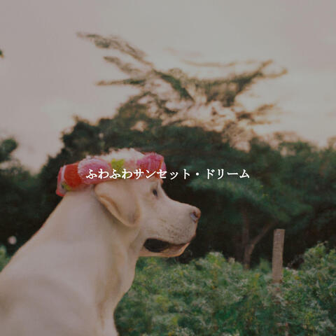 ふわふわサンセット・ドリーム