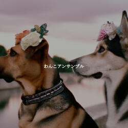 Simplistic Saxophone Jazz - Vibe for Refreshing and Inspired