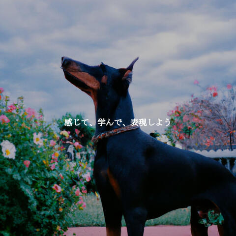 感じて、学んで、表現しよう