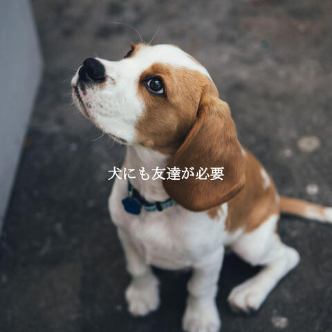 犬にも友達が必要