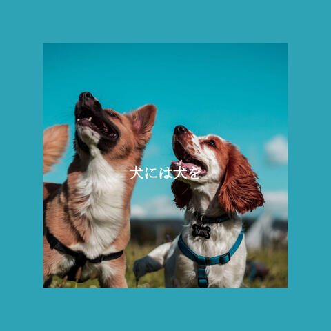 犬には犬を