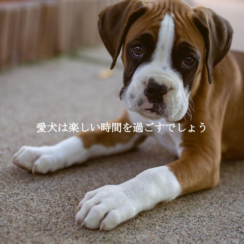 愛犬は楽しい時間を過ごすでしょう