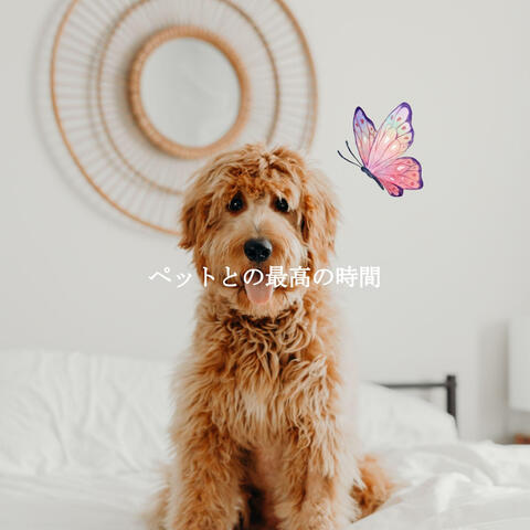 ペットとの最高の時間