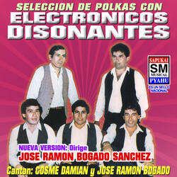 Seleccion De Polkas 1