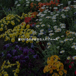 Heavenly Daily Cleanse