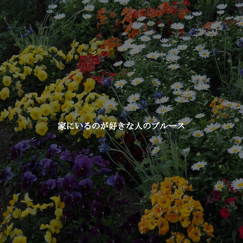 家にいるのが好きな人のブルース