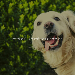 Friendly Music for Calmed Vibe