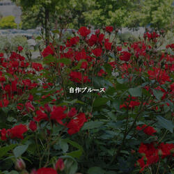 Retro Saxophone Jazz - Vibe for Dawns Light