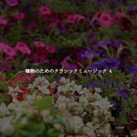 植物のためのクラシックミュージック 4