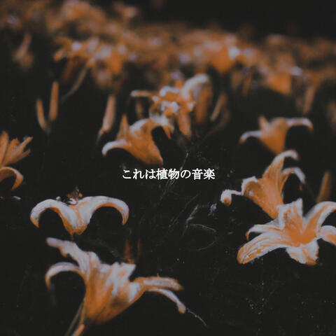 これは植物の音楽