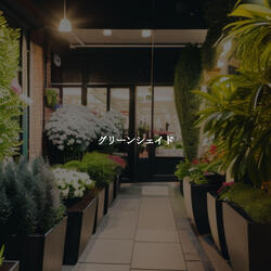 Wondrous Gentle Atmospheres