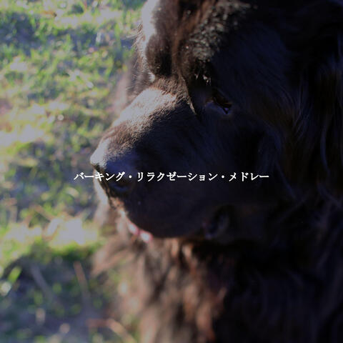 バーキング・リラクゼーション・メドレー