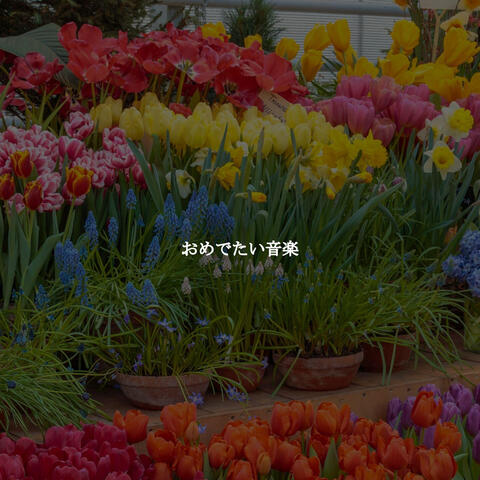 おめでたい音楽