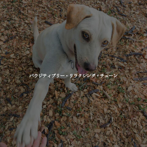 パウジティブリー・リラクシング・チューン