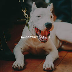 Smooth Ambiance for Golden Cafes