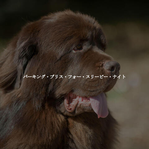 バーキング・ブリス・フォー・スリーピー・ナイト