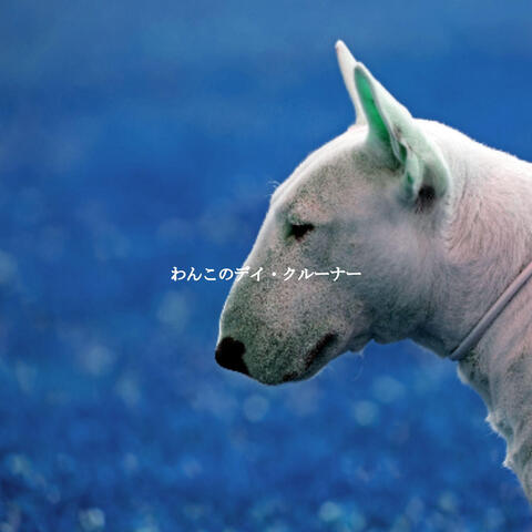 わんこのデイ・クルーナー