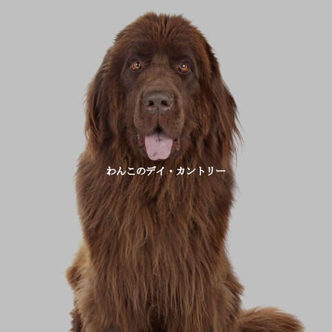 わんこのデイ・カントリー