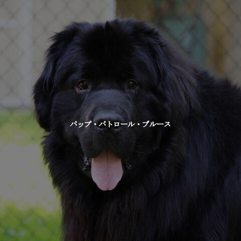 パップ・パトロール・ブルース