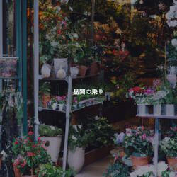 Sprightly Moods for Fresh Energy