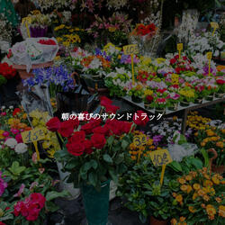 Background for Romantic Sun