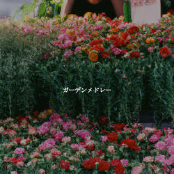 Paradise Like Ambiance for Dawns Light