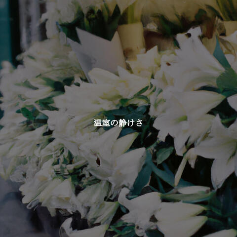 温室の静けさ