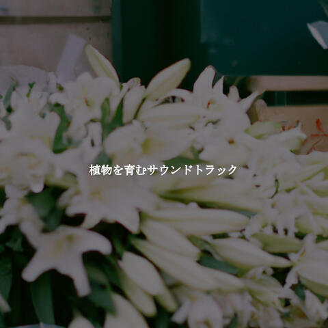 植物を育むサウンドトラック