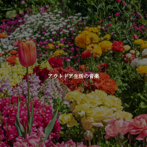 アウトドア生活の音楽