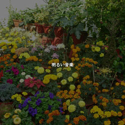 Urbane Gentle Atmospheres