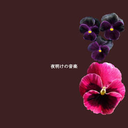 Sensational Backdrops for Daily Cleanse