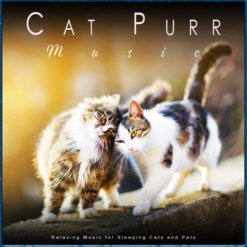 Cat Purr Music: Relaxing Music for Sleeping Cats and Pets