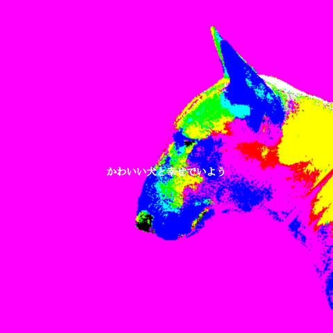 かわいい犬と幸せでいよう