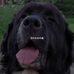 Playful Ambience for Coffee Energies