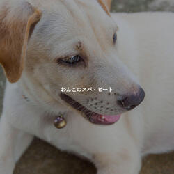 Dashing Music for Coffee Energies