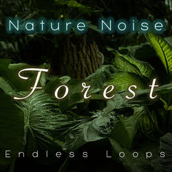 Nature Noise Forest Endless Loop 4 Minutes