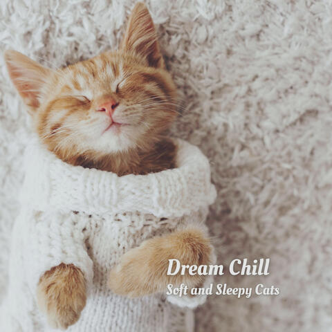 Dream Chill: Soft and Sleepy Cats