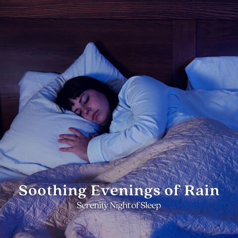 Soothing Evenings of Rain: Serenity Night of Sleep