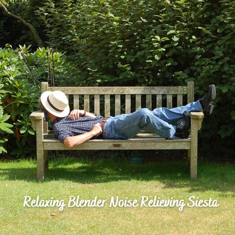 Relaxing Blender Noise Relieving Siesta