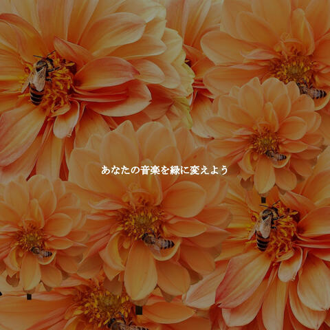 あなたの音楽を緑に変えよう