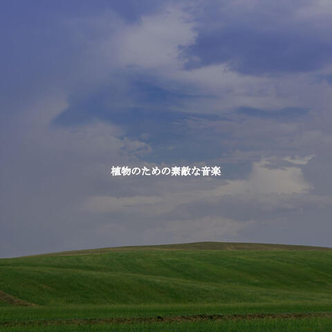 植物のための素敵な音楽