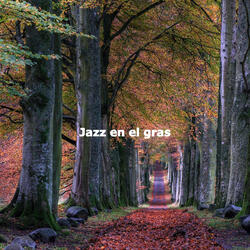 Phenomenal Ambiance for Hazy Dreams