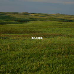 Charming Moods for Weekend Upgrades