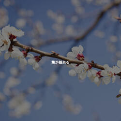 Outstanding Music for Classic Hotel Stay