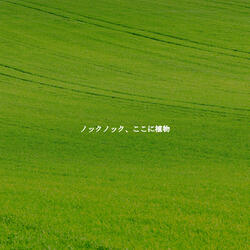 Wicked Backdrops for Deluxe Staycationing