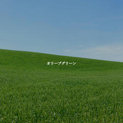 Alluring Backdrops for Complimentary Nights